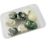 Natural 100 gm Tree Agate  Stone Tumble Tumbled Crystals for Healing Reiki vastu Correction